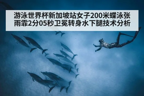 游泳世界杯新加坡站女子200米蝶泳张雨霏2分05秒卫冕转身水下腿技术分析